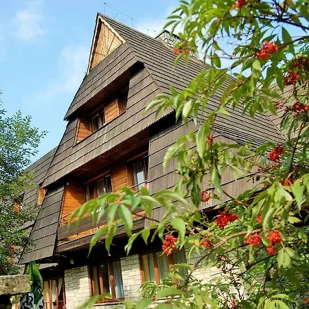 Boruta
